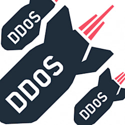 ddoservices