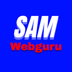 webguru357