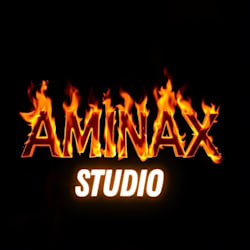aminax_studio