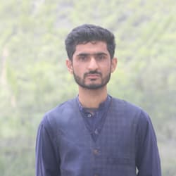 ansar_ali_1214