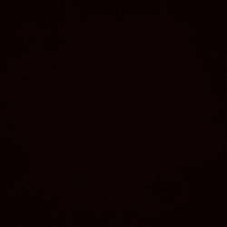 hasan_ri