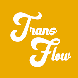 qntranslator
