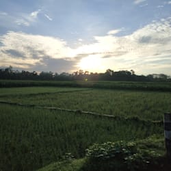 piyubiswas