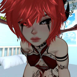 nimsycake