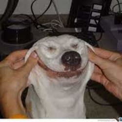 Do hilarious birthday videos and for other special occasions by