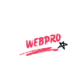 web_guru29