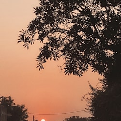 wordsbyamnak145