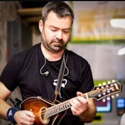 tergalmandolin