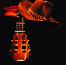 country_vox