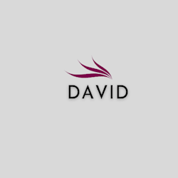 david_9868