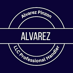 alvaropin1