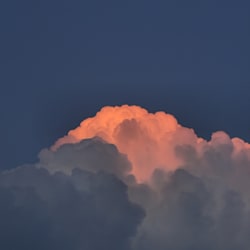 bcdessav1235