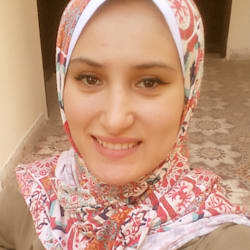 alaaelhusseini