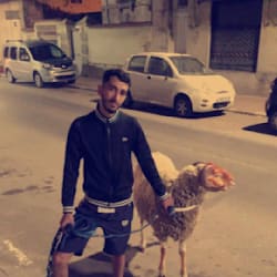 stell_aymen