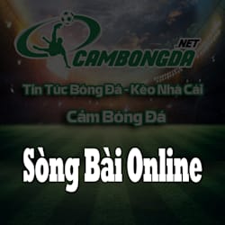 casinoonlinecbd