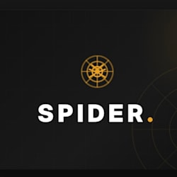 spider_web_devs