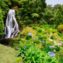 arthur_thomas21