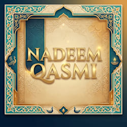 qnadeemq