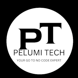 pelumi_techy