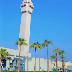 malikirfanej961