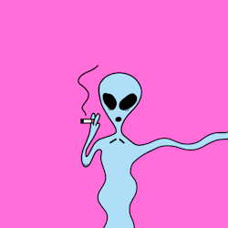 cozkyle