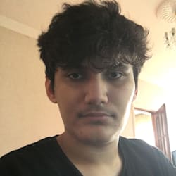 mirmehdi1
