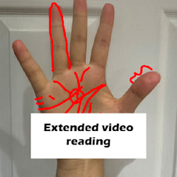 palmreader37