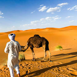 calinabirthday