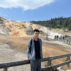 harrywangqaq