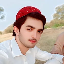 dilbarkhan274