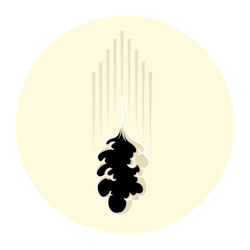 knoyce