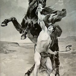 bucephalos