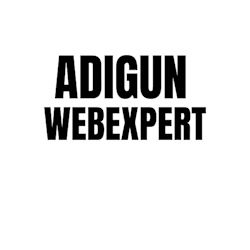 adigunwebexpert