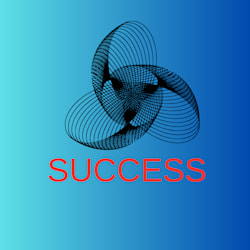 successteidei