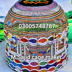 sajid786kking