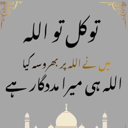 malikanwar497