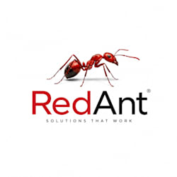 red_ant17