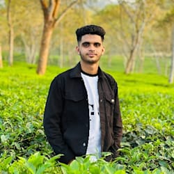 graphicsfaisal2