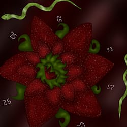 starwberriaiko