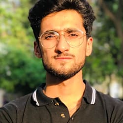 thezeeboy