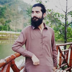 syed_toqeer338