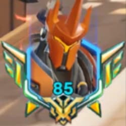 ow_coach