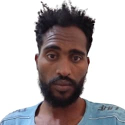 abelniftalem