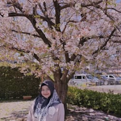 imasmasitoh