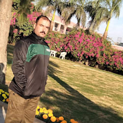 saleembutt260