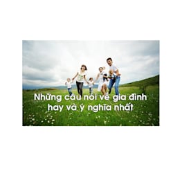 caunoigiadinh