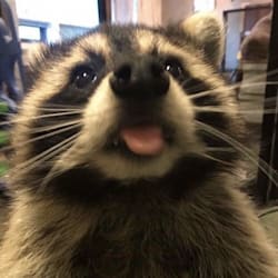 mnumanu