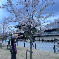 erikawhatsnew