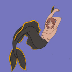 nemo_finch