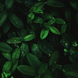 beingcloudguru